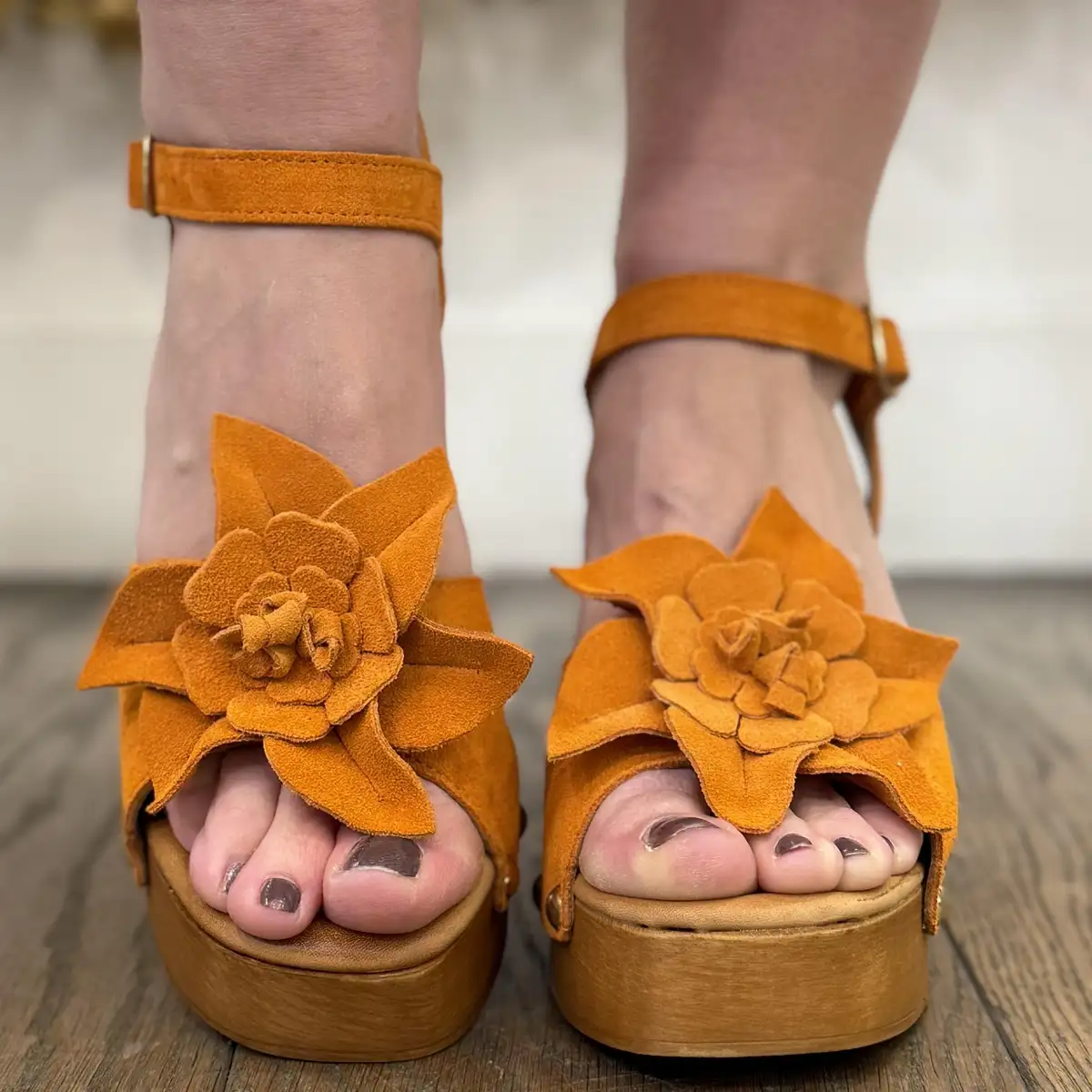 COCO ABRICOT - Sadales Sancoins orange