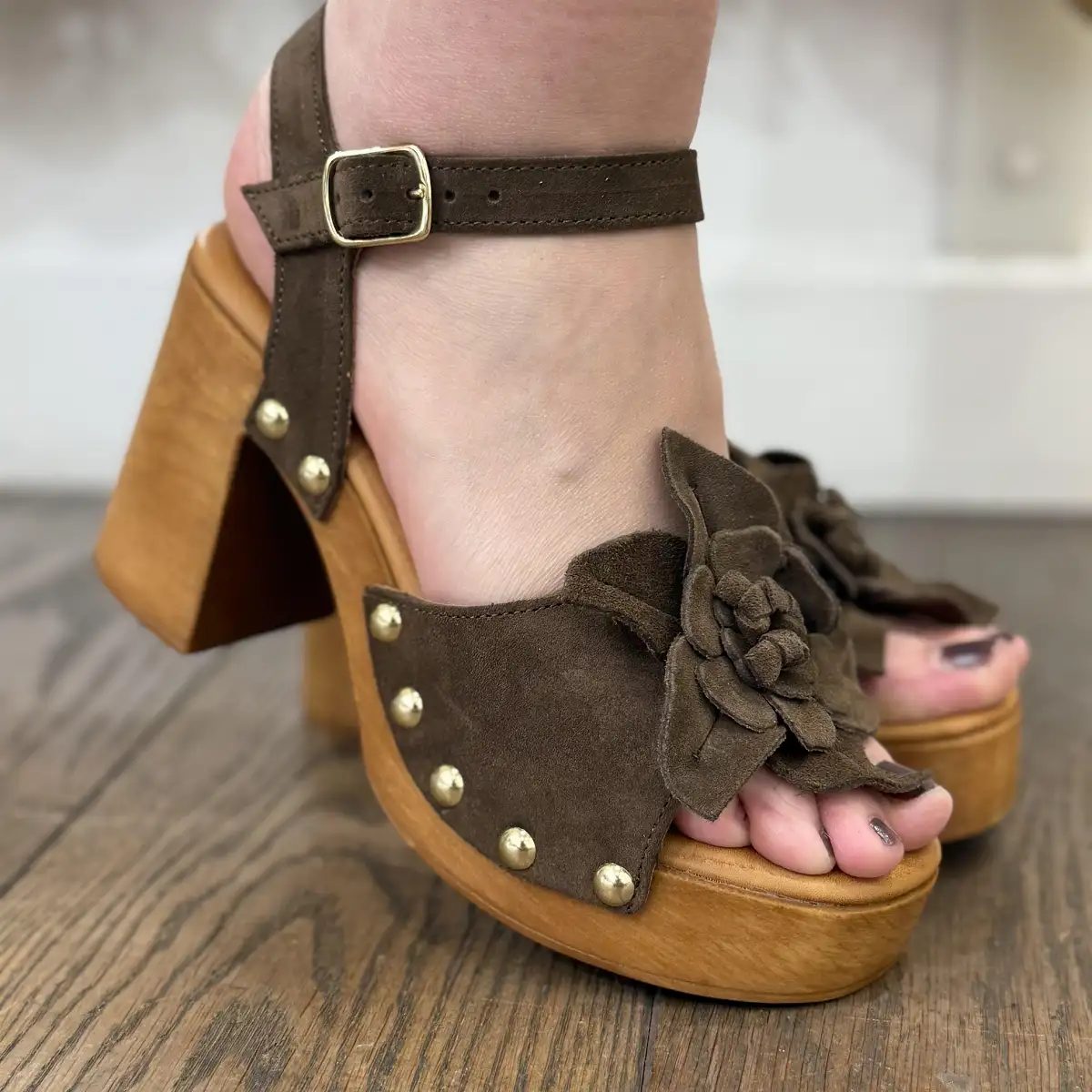 COCO ABRICOT - Sadales Sancoins marron