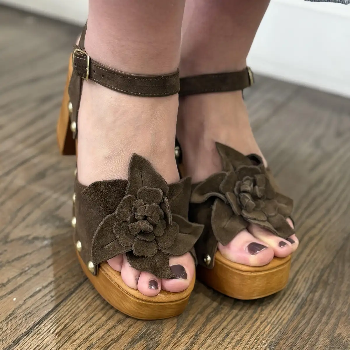 COCO ABRICOT - Sadales Sancoins marron