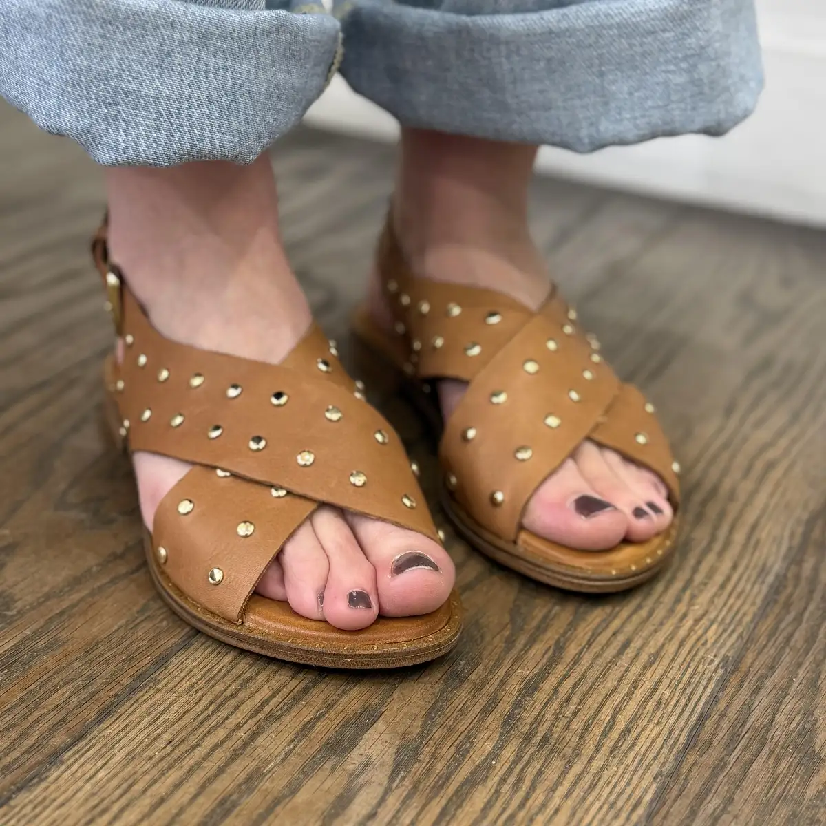 Coco Abricot - MAGNIEU CAMEL